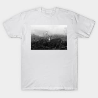 The rut in B&W - White-tailed Deer T-Shirt